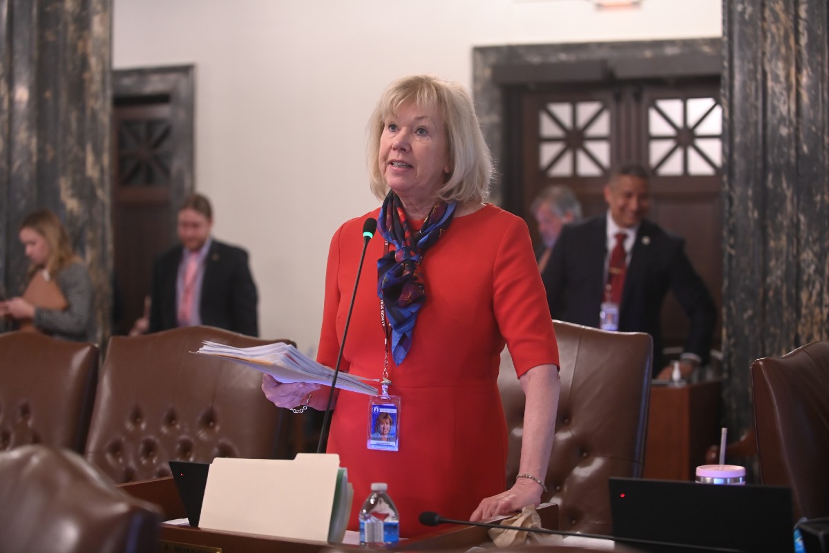 State Senator Julie Morrison testifying on the Senate floor