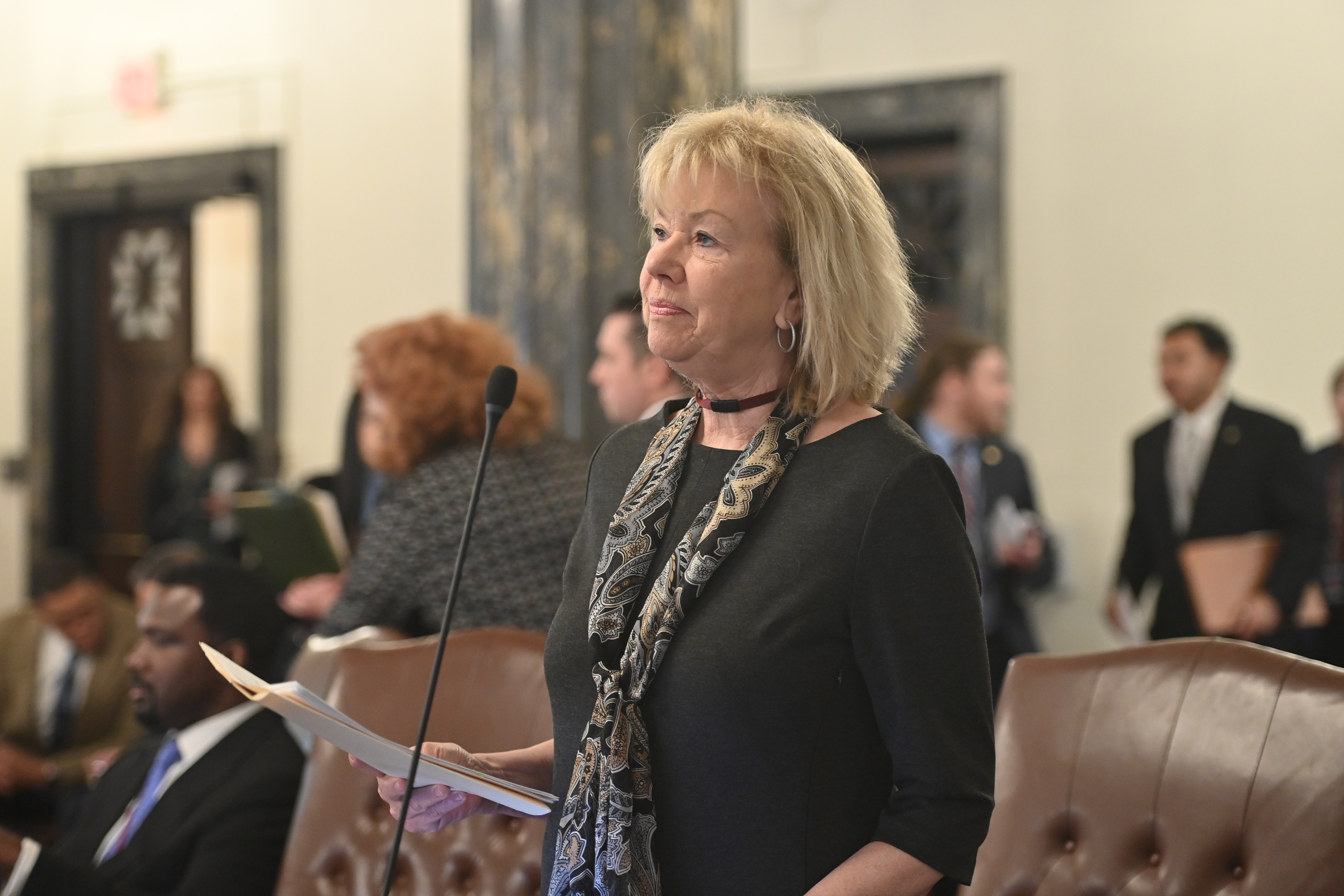 State Senator Julie Morrison testifying on the Senate floor