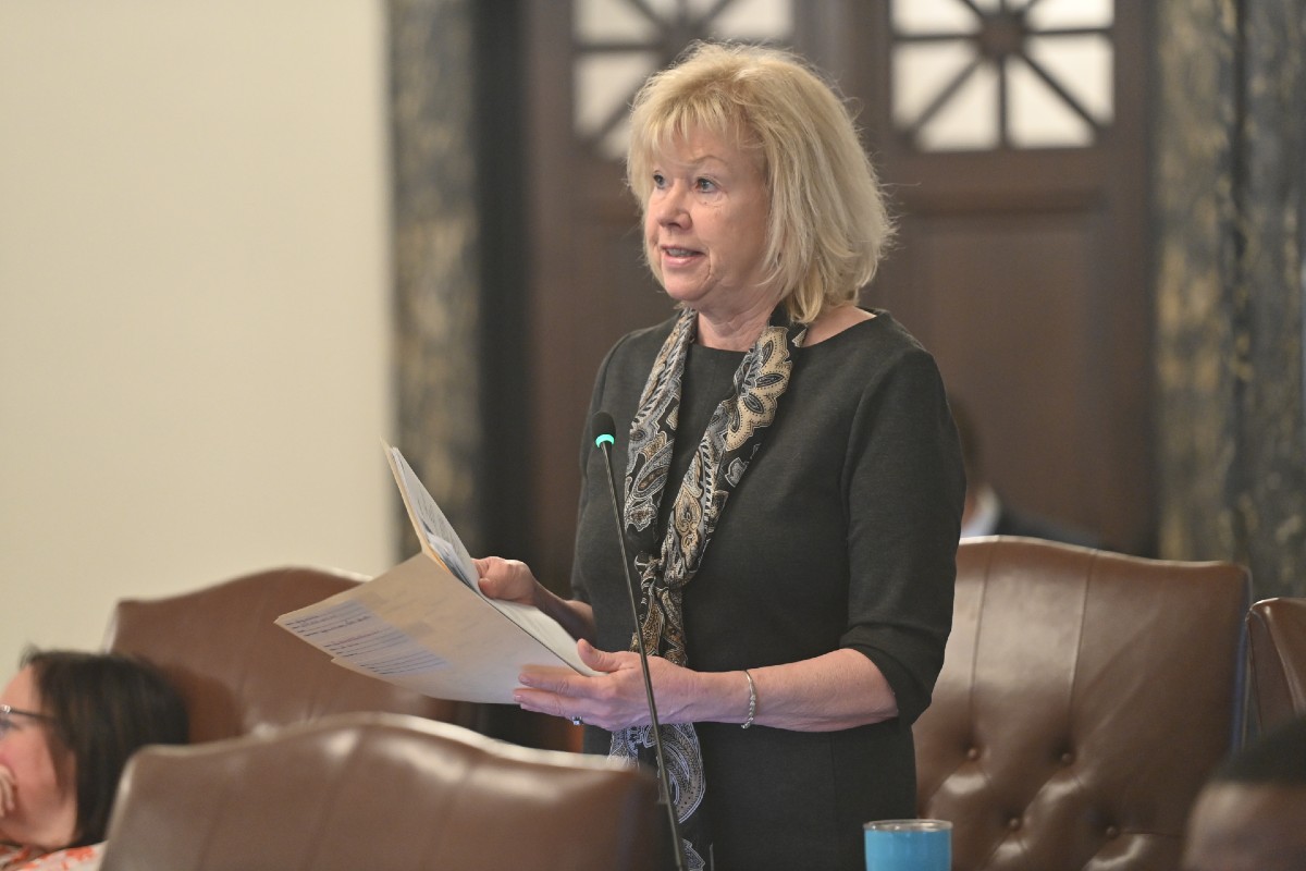 State Senator Julie Morrison