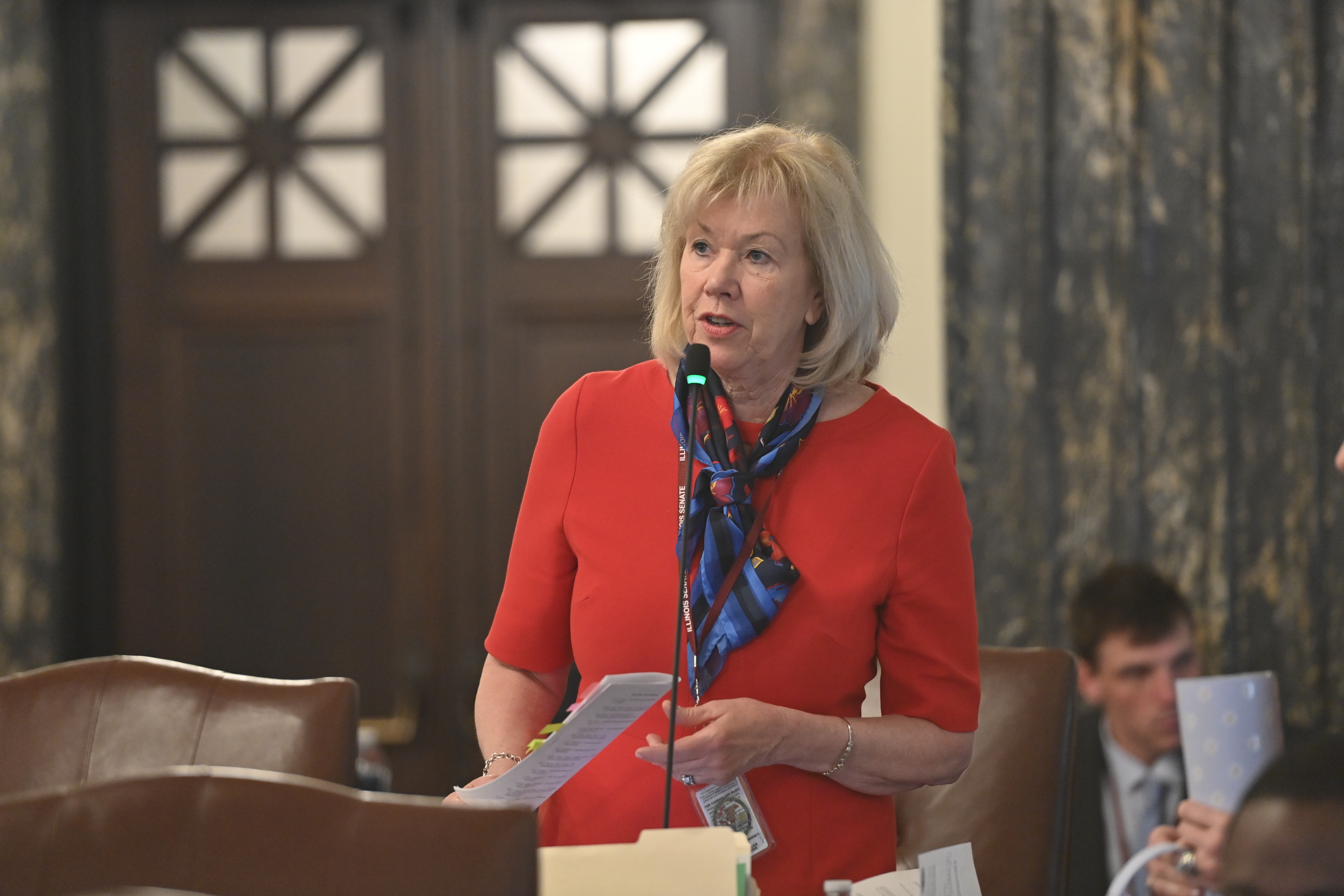 State Senator Julie Morrison testifying on the floor