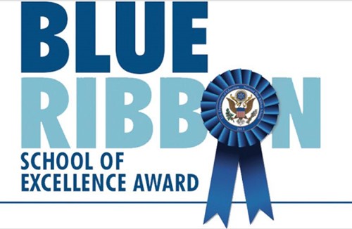 blue ribbon pic