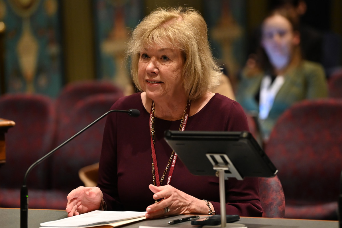 Senator Morrison speaks while seated in a committee room.