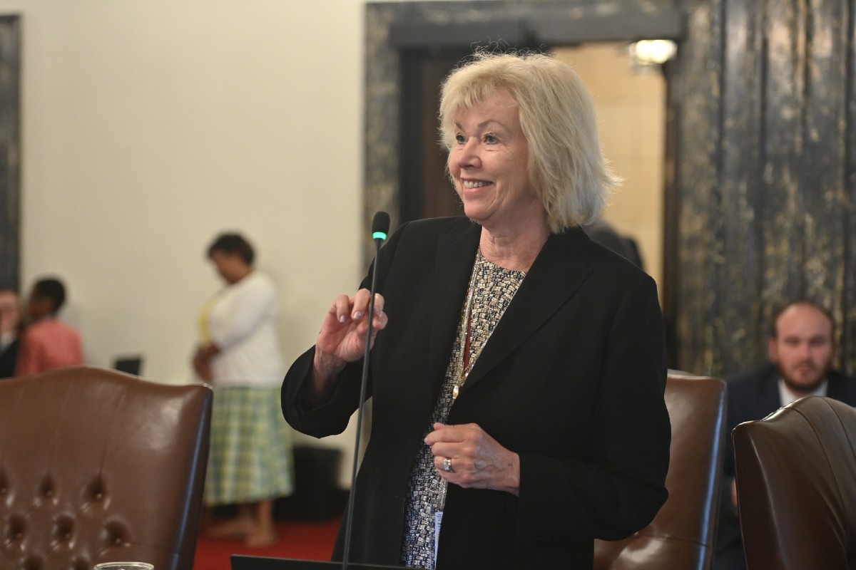 State Senator Julie Morrison on the Senate Floor