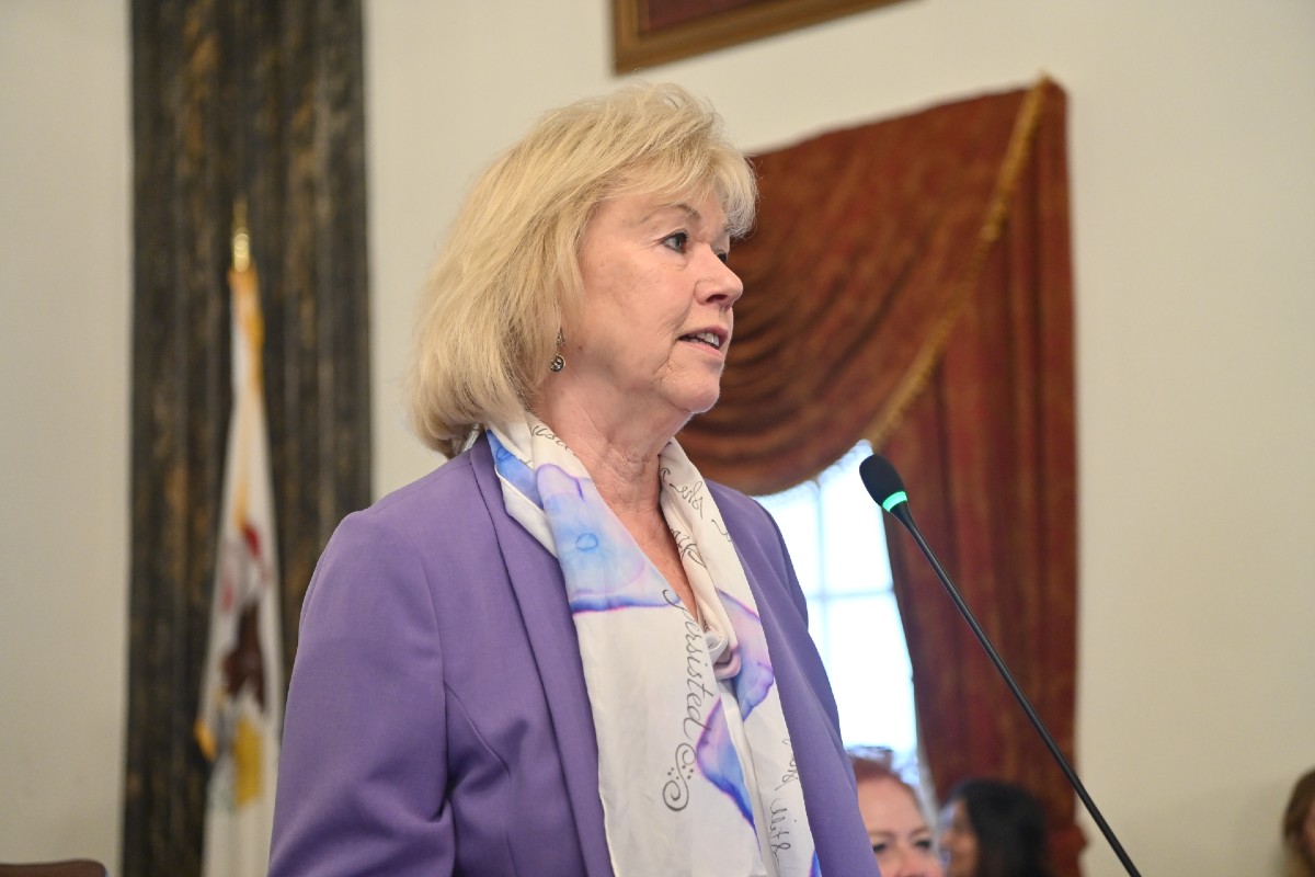 State Senator Julie Morrison on the Senate floor